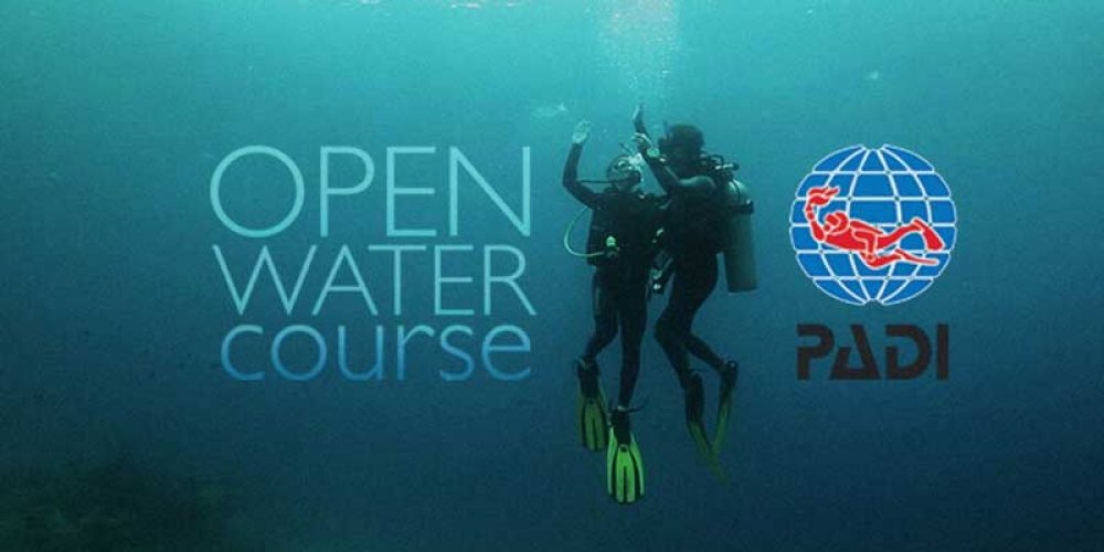 Corso Sub, immersioni ed escursioni marine la partneship con Karma Sub